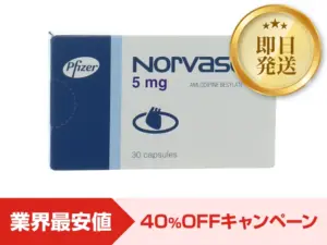 ノルバスク